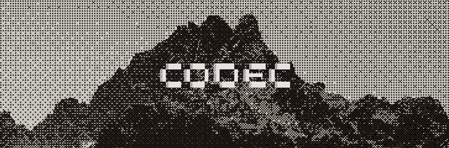 CodecFlow: Crypto x Robotics